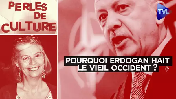 Pourquoi Erdogan hait le vieil Occident ? - Perles de Culture n°353 - TVL