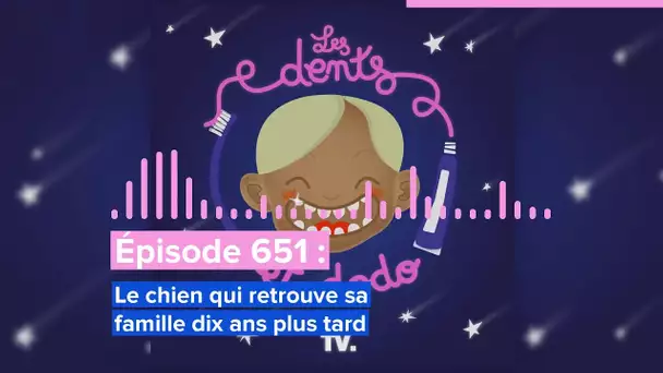 Les dents et dodo - “Épisode 651 : Le chien qui retrouve sa famille dix ans plus tard”