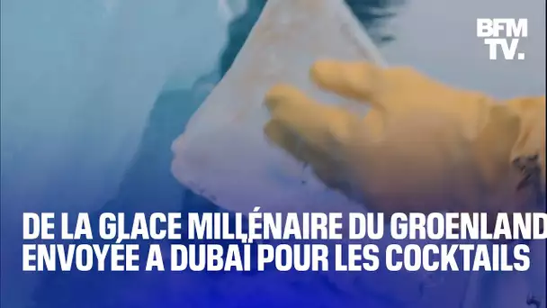 Une start-up prélève de la glace millénaire du Groenland pour fournir les bars à cocktails de Dubaï
