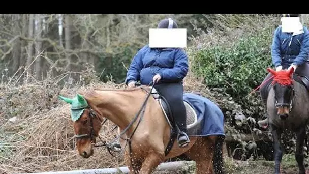 Charlotte publie un selfie sur Facebook avec son cheval - la photo fait vivement réagir