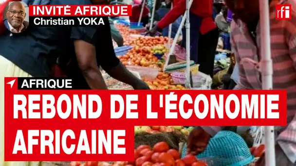 Christian Yoka (AFD) : « Nous constatons un rebond de l’économie africaine autour de 3,6 % »• RFI