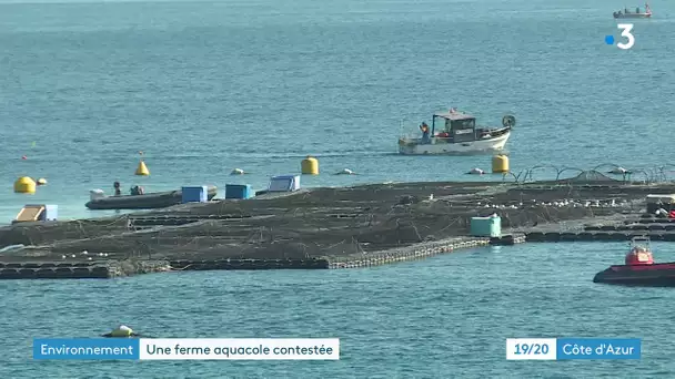 Le projet de ferme aquacole au large de Vallauris Golfe Juan suscite de vives oppositions