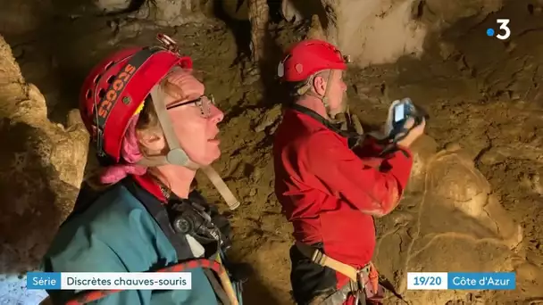 Sur les traces des chauves-souris dans une via ferrata à Caille dans les Alpes-Maritimes