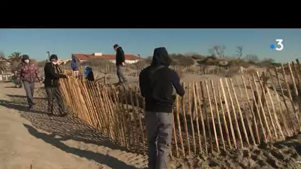 Hérault : un chantier d'insertion à l'emploi sur la plage du Cap d'Agde