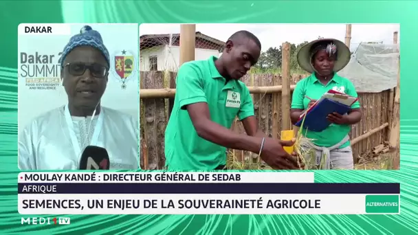 #Alternatives #UIR / Semence, un enjeu de la souveraineté agricole, avec Moulay Kandé