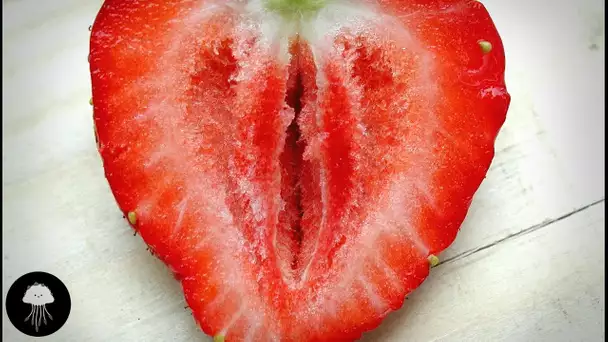 Les fruits sont des ovaires dégueulasses - DBY #11