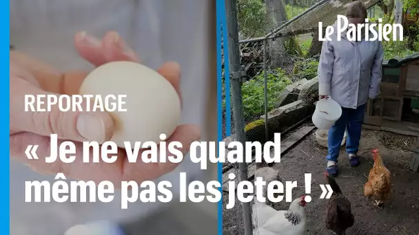 Alerte à la pollution des poulaillers en Ile-de-France : « Pour moi, mes œufs ne sont pas toxiques »