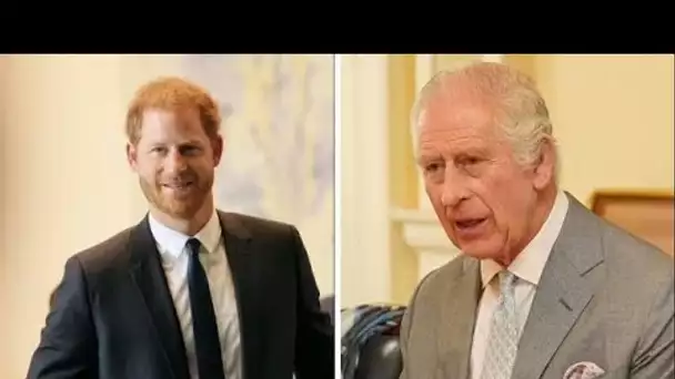 Le prince Harry se prépare à une réunion « courte et formelle » avec le roi Charles avec un ensemble