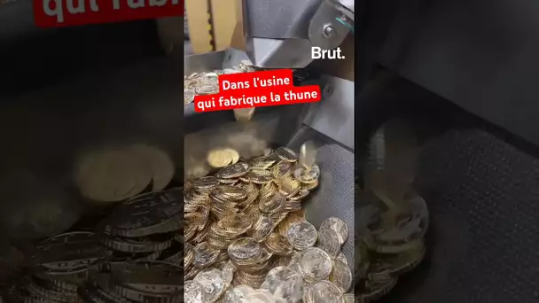 Dans l'usine qui fabrique la thune