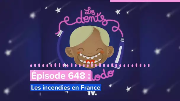 Les dents et dodo - “Épisode 648 : Les incendies en France”