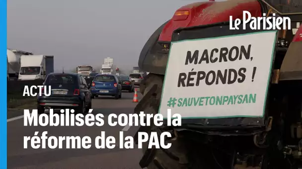 Réforme de la PAC : des agriculteurs bloquent la route contre des mesures «inacceptables »