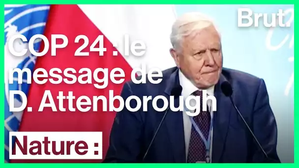 Le message de David Attenborough à l&#039;occasion de la COP 24