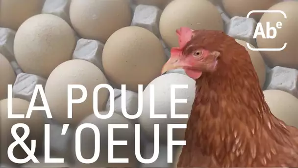 Œufs: le bien-être des poules se paie. ABE-RTS