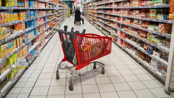 «Cheapflation» : six produits de marque épinglés par l'association Foodwatch