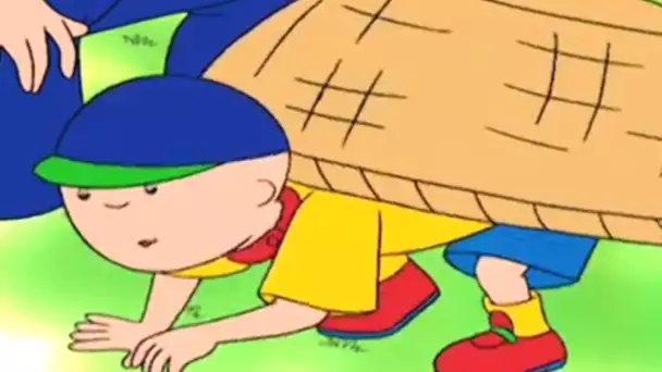 Caillou en Français | Caillou et le Zoo dans le Jardin | dessin animé | NOUVEL ÉPISODE HD