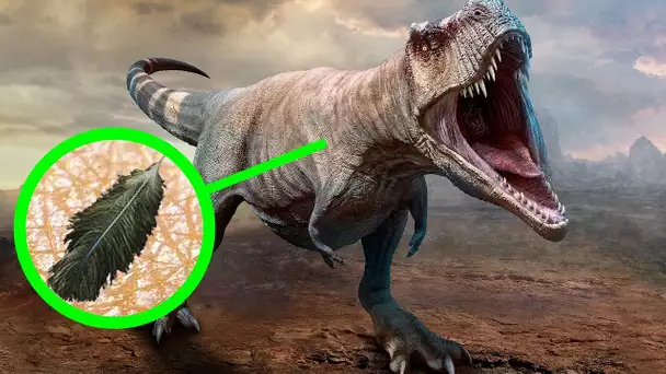 11 Faits Incroyables sur les Dinosaures que l’on Ignorait Encore