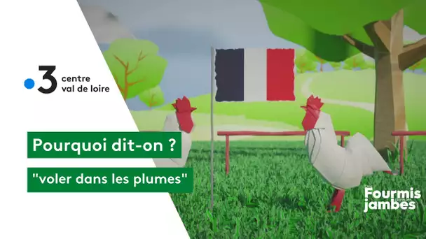 Pourquoi dit-on : voler dans les plumes !
