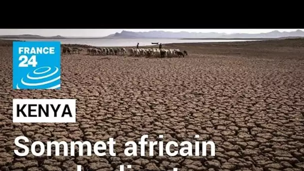 Sommet africain pour le climat au Kenya : un rendez-vous clé pour le continent et la COP28