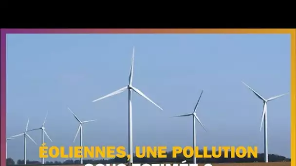 Les éoliennes, une pollution sous-estimée ?