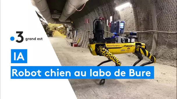 Le robot chien SCAR de l'écoles des Mines Nancy dans les galeries du laboratoire ANDRA de Bure