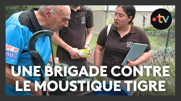 La brigade du tigre mobilisée contre la prolifération des moustiques