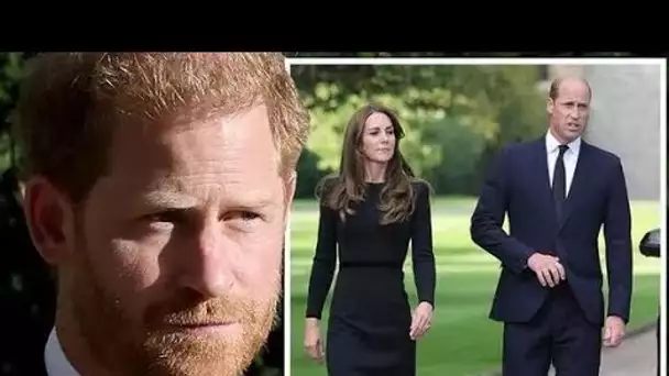 Le prince Harry a dit de "mettre en pâte toutes les copies et d'abandonner ses mémoires" pour éviter