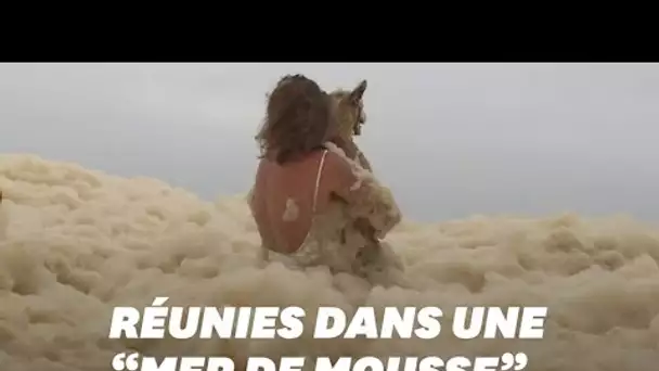 En Australie, cette chienne secourue d'une mer de mousse après de fortes pluies