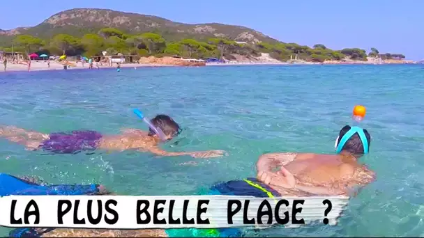 PLAGE DE PALOMBAGGIA : Une des plus belles / Family Vlog en Corse / Vlog Vacances