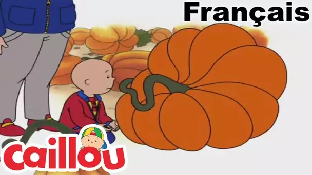 Caillou en Français: Les Citrouilles | conte pour enfant |  dessin animé complet