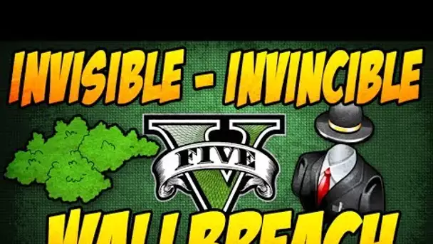 DEVIENT INVISIBLE & INVINCIBLE GTA 5 ONLINE