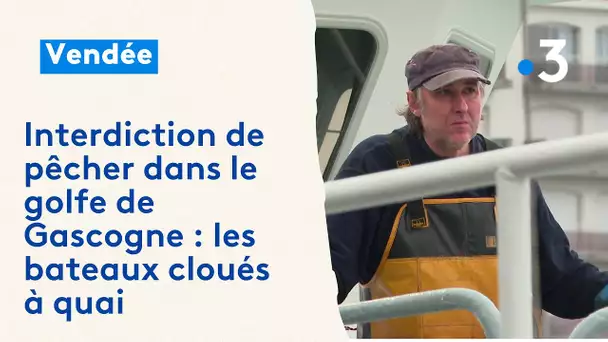 Interdiction de pêcher dans le golfe de Gascogne : les bateaux cloués à quai pendant un mois