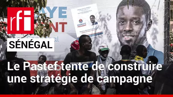 Présidentielle au Sénégal : l'ancien Pastef à la recherche d'une nouvelle stratégie de campagne