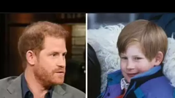 Le prince Harry s'ouvre sur le fait de grandir dans un château alors qu'il salue son temps "une aven