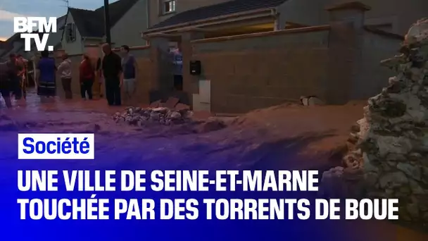 La ville de Thieux, en Seine-et-Marne, touchée deux fois en 24 heures par des torrents de boue