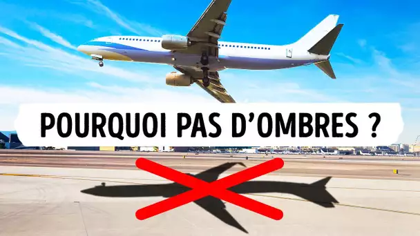 Voici Pourquoi Tu Ne Verras Jamais L’ombre Des Oiseaux Et Des Avions