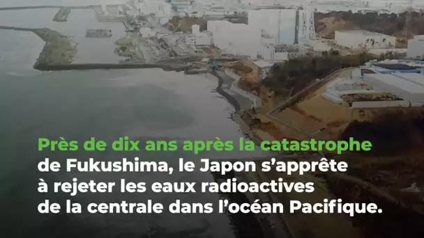 Fukushima : l'eau contaminée sera rejetée dans l'océan