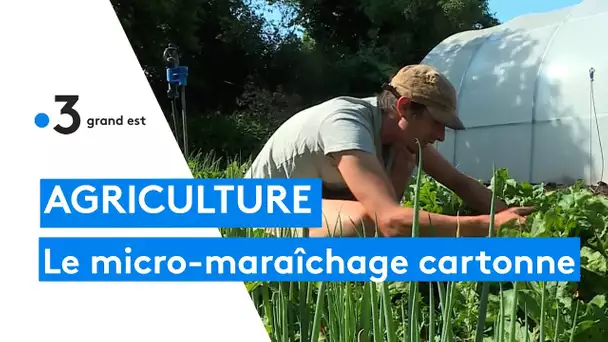Le micro-maraîchage a le vent en poupe