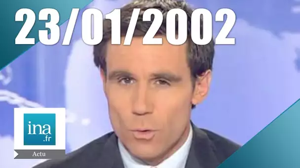 20h France 2 du 23 Janvier 2002 - Grève des médecins | Archive INA