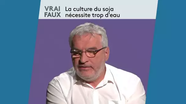 Vrai ou faux : La culture du soja nécessite trop d’eau