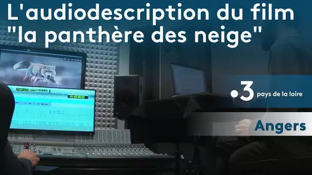 Cinéma : un narrateur angevin pour l'audiodescription du film "La panthère des neiges"