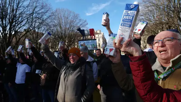Les producteurs de lait manifestent à Paris devant l'Assemblée nationale