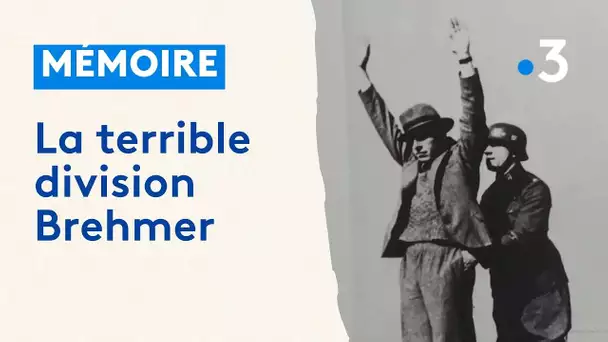 Mémoire : la terrible division Brehmer