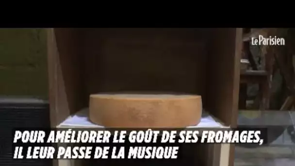 Suisse : il affine ses fromages en musique pour améliorer leur goût