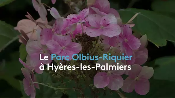 Richesses du Var : le Parc Olbius Riquier à Hyères-les-Palmiers