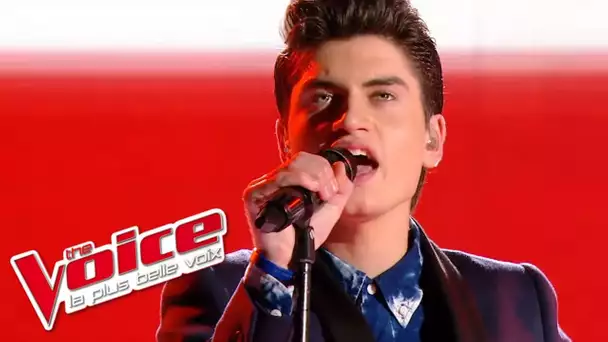 The Cure – Close to Me | David Thibault | The Voice France 2015 | Prime 2