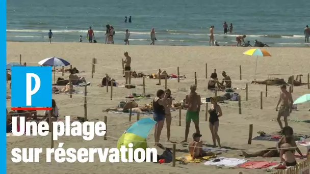 La Grande-Motte autorise la bronzette sur réservation