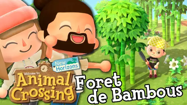 ON A TROUVE L’ÎLE AUX BAMBOUS ! | ANIMAL CROSSING NEW HORIZONS EPISODE 9 CO-OP