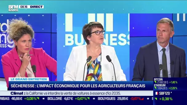 Christiane Lambert (FNSEA) : L'agriculture en première ligne face au changement climatique