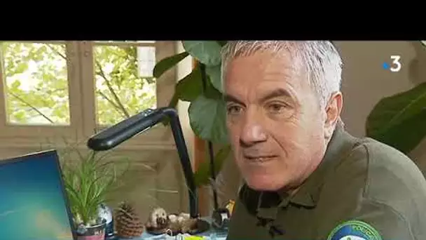 La Brigade verte fête ses 30 ans