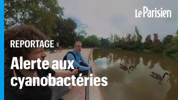 Suspicion de cyanobactéries au bois de Vincennes : « J’évite que mon enfant s’approche de l’eau »